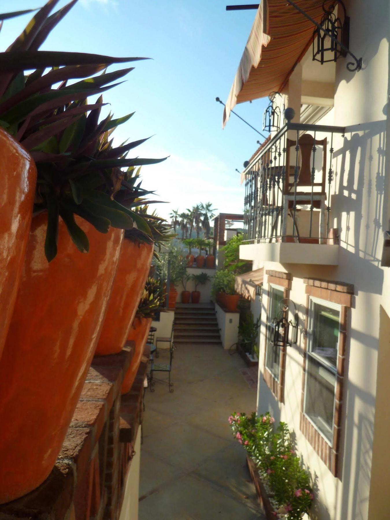 The Suites By Villa Valentina San José del Cabo Exterior photo