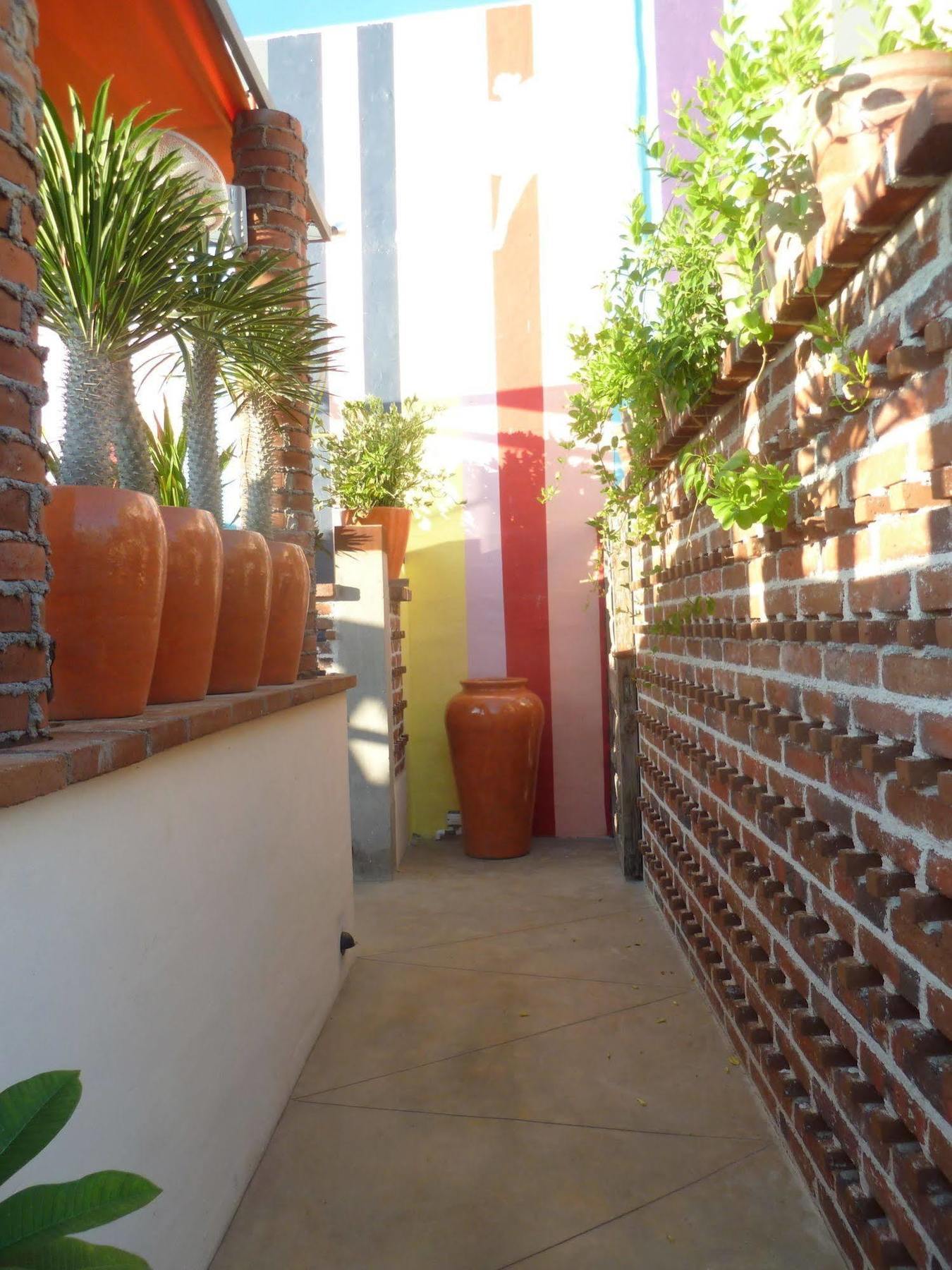 The Suites By Villa Valentina San José del Cabo Exterior photo