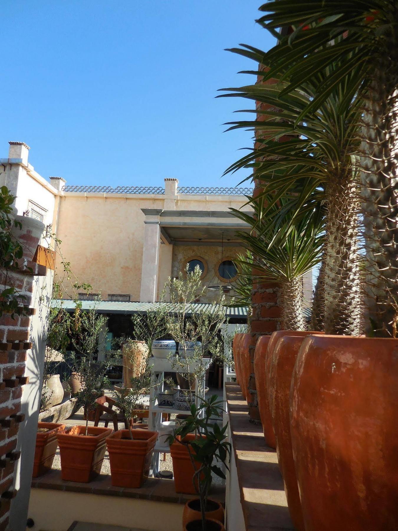 The Suites By Villa Valentina San José del Cabo Exterior photo